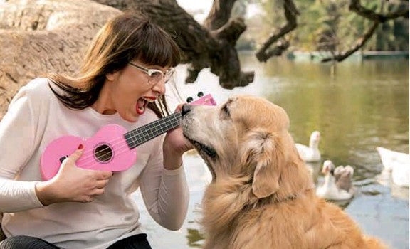 ¿Cómo evitar el estrés en mi perro? ¿Cómo evitar el estrés en mi perro?